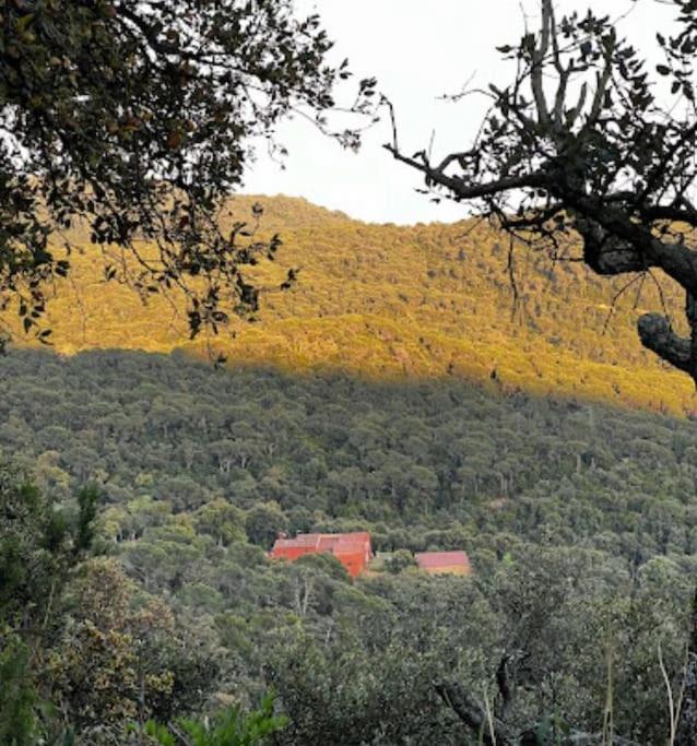 Masia Can Castellar Sant Iscle De Vallalta المظهر الخارجي الصورة